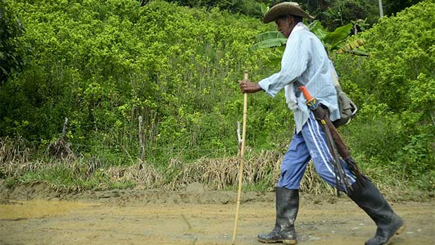 Colombia, los dividendos de la paz