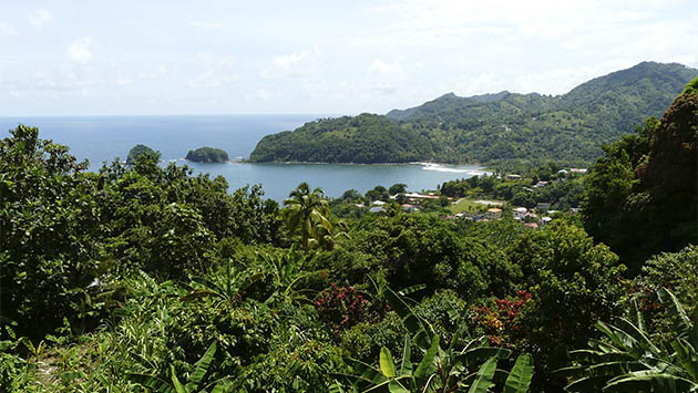 Seis destinos del Caribe. (III) Dominica: la isla vertical