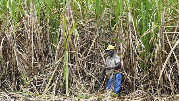 Seis destinos del Caribe. (V) República Dominicana: Contra el tópico