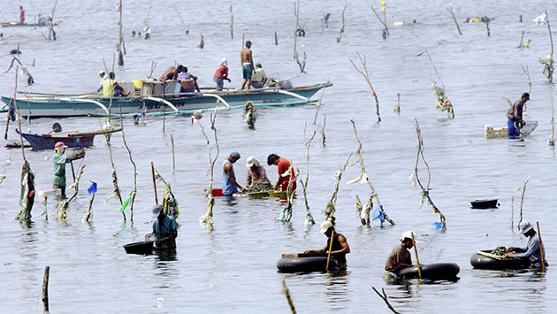 El tesoro de las islas 